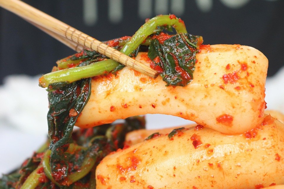 fully funded bachelor’s scholarships